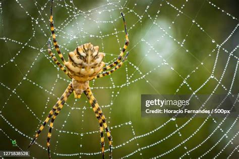 web marinha.